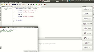 PSeInt - Escriba un nombre y saludar