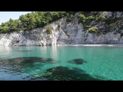 ア・カペラカバー 山下達郎 Angel