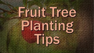 Fruit Tree Planting Tips – Family Plot