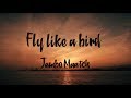 FLY LIKE A BIRD / JUMBO MAATCH  -Music Video-