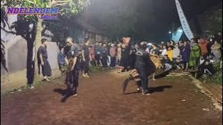 AMPEL CONDRO REJO 'Lion Boys' (acr) Live Bonangan