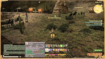 Final Fantasy XIV  A Realm Reborn - Pugilist Lv10 Quest - Burning Up the Quarter Malm