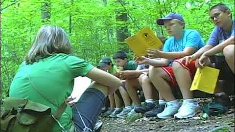 Classroom In The Woods: An Inside Look at McKeever...