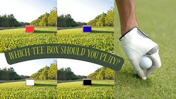 Which Tee Box Should Golfers Play?