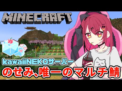 【Minecraft】ここ、唯一参加させてもらってるマルチサーバーなんだな【#kawaiiまいくらねこ】【Vtuber】【#生のせみん】