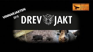 Drevjakt på Karsholm 2018.  Driven hunts in Sweden