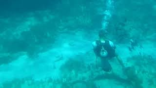 diving in ayia napa. Cyprus