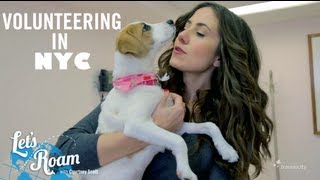 Volunteering to Help NYC's Cats & Dogs | Let's Roam