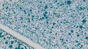 Particle System Compute Shader