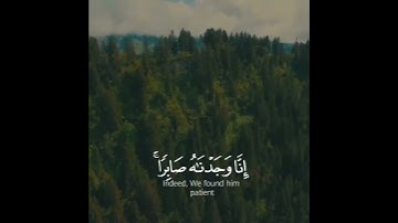 إِنَّا وَجَدْنَاهُ صَابِرًا ۚ نِعْمَ الْعَبْدُ ۖ إِنَّهُ أَوَّابٌ) قارئ _#رعد_الكردي 🌿
