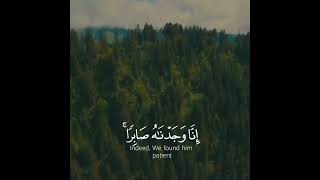 إِنَّا وَجَدْنَاهُ صَابِرًا ۚ نِعْمَ الْعَبْدُ ۖ إِنَّهُ أَوَّابٌ) قارئ _#رعد_الكردي 🌿