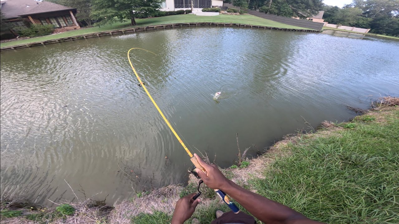  Fishing Challenge🔥… I Was NOT Ready For This 😳