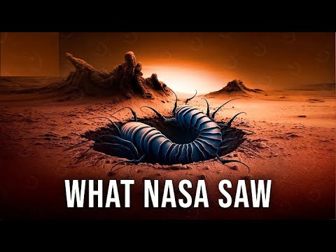NASA Has Discovered
