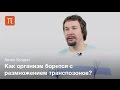 Буздин Антон. Геномные паразиты человека