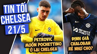 TIN CHELSEA TỐI 21/5 ll Định giá Chalobah RẺ NHƯ CHO; Petrovic MUỐN POCHETTINO Ở LẠI