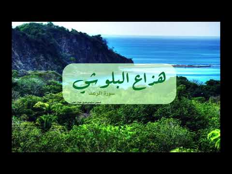 سلام عليكم بما صبرتم فنعم عقبى الدار سورة الرعد القاريء هزاع البلوشي
