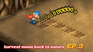 เกมดักแก่ Harvest moon back to nature EP.3 เบอรี่ในตำนาน