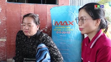 Nghề “đẩy ốc” mùa nước nổi | LONG AN TV