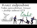 Гидра пресноводная. Класс гидроидные. Лекция и разбор заданий ЕГЭ.