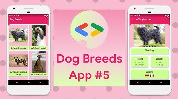 Dog Breeds App #5 - Flutter Live Coding #13