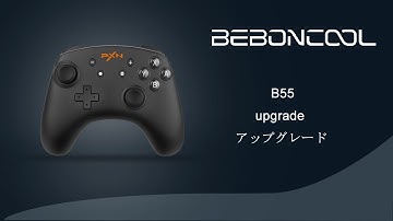 B55 switch controller upgrade / switch コントローラー アップグレード