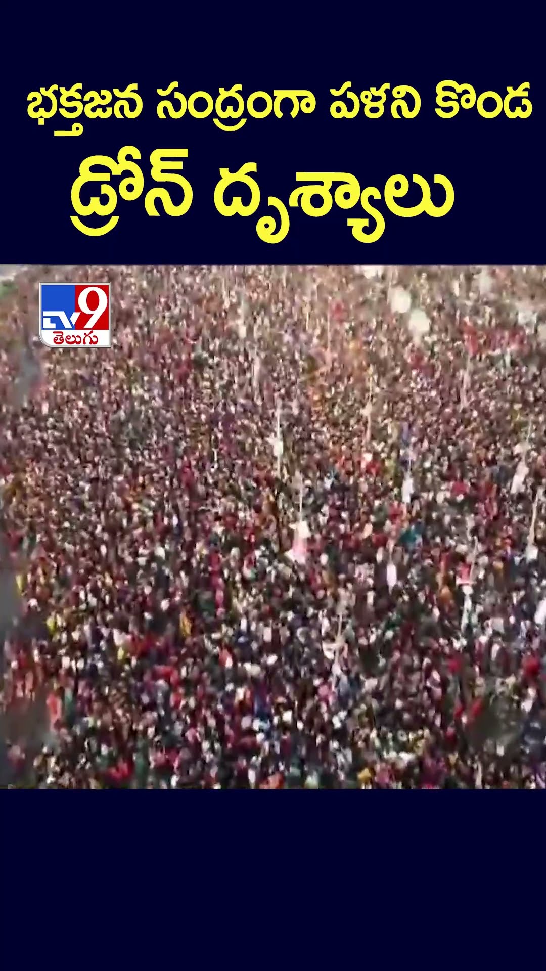భక్తజన సంద్రంగా పళని కొండ డ్రోన్‌ దృశ్యాలు - TV9
