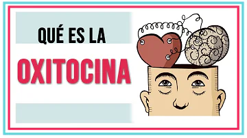 ¿Qué función realiza la hormona oxitocina?