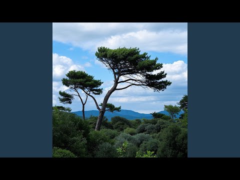 When The Winds Told Me