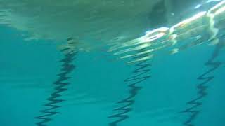 Total Internal Reflection in a Swimming Pool Resimi
