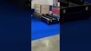 Mir robot