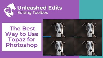 The Best Way to Use Topaz for Sharpening and Noise Reduction