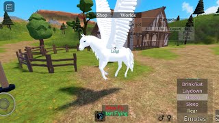 checking out the pegasus update in horse world
