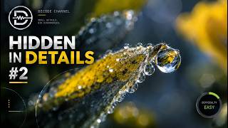Hidden in Details #2 OBSERVATION 002