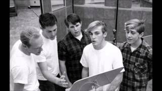The Beach Boys - &quot;South Bay Surfer&quot; - Vinyl Sound Engineering - Vocal Harmony Groups