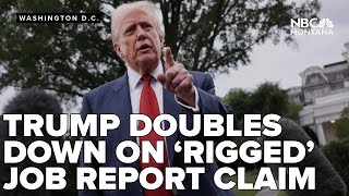 Economists push back on Trump's claim that unfavorable jobs data was 'rigged'