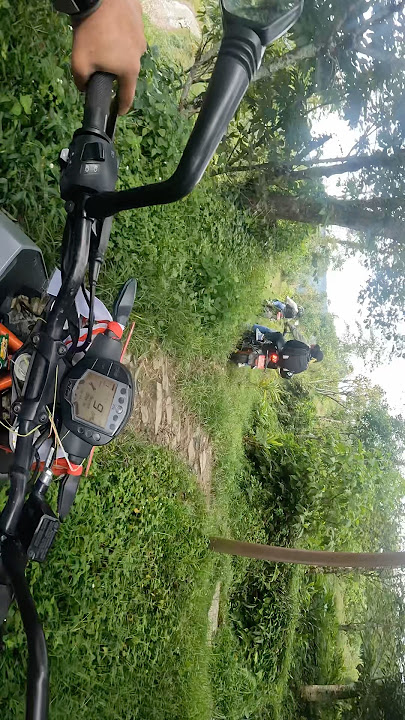Gayo guys gayo majala