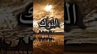 دلال حسين ماي ومن تبده ستوريات خوات ثلاثه صعدن ناگه تصاميم بدون حقوق حالات واتساب حسينيه