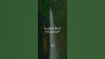 آيات من الذكر الحكيم #المصحف #الرحمن #راحة_نفسية #اكسبلور #لايك