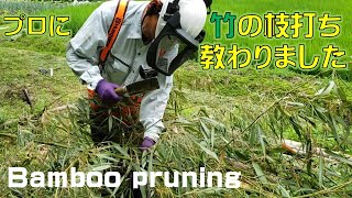 竹の枝打ち（枝払い）をプロに教えてもらいました。Bamboo pruning