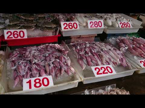รีวิว ตลาดมหาชัย ตลาดทะเลไทย สมุทรสาคร อาหารทะเลสดๆ ใกล้กรุงเทพ ราคาถูก กุ้ง หอย ปู ปลา ปูม้า ep1