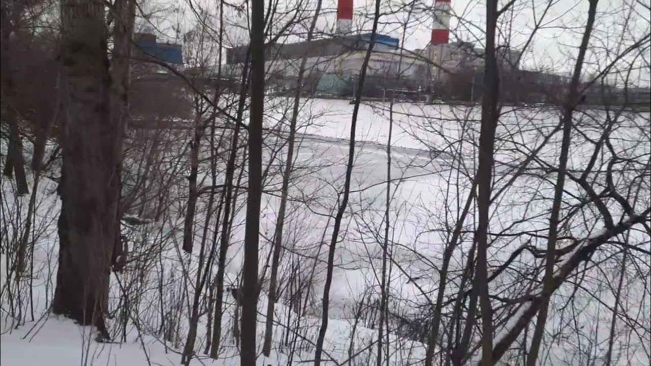 Парк очаковские пруды. Базовский пруд очаково. Реконструкция очаковского пруда. Пруд москва очаковское шоссе. Базовский пруд очаково.