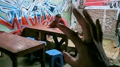 Menidurkan orang dari jarak jauh . ibnu budi saktiawan - Durasi: 3.02. 