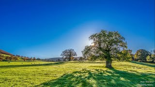 Relaxing Piano Music to sleep and meditate / BGM for relaxation and Stress Relief
