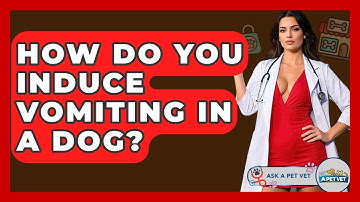 How Do You Induce Vomiting In A Dog? - Ask A Pet Vet