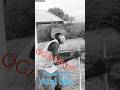 Oga Mirror Ya Shiga Mirrormaxblog101 Pathossy Amb Hoom Suk Daniel James Oga Mirror Ya Shiga Mirrormaxblog101 Pathossy Amb Hoom Suk Daniel James