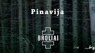 Aistė Smilgevičiūtė & SKYLĖ - Pinavija / Peony