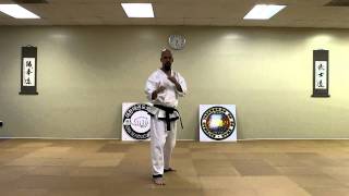 Taekwondo: Back Kick (Dwit Chagi)