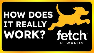 How Does Fetch Rewards Work?
