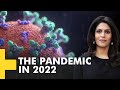 Gravitas Plus: Here's what the pandemic will look like in 2022