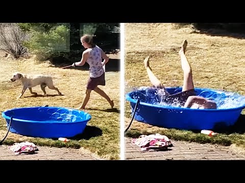 Funniest Dogs of the Week ? | Funny Animal Videos | AFV 2022